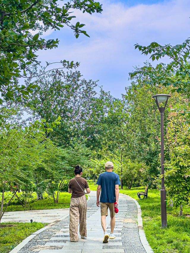 元大都遺址公園，海棠花溪的夏日花海綠蔭