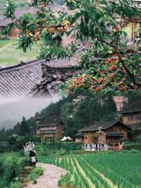 白岩村攻略