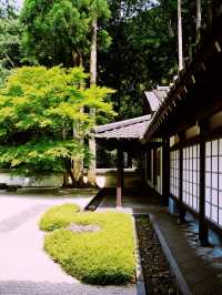 *【東京の静寂を求めて　玉堂美術館の枯山水に癒される】**  