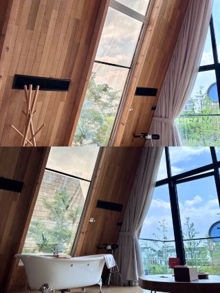 1h Direct to Forest Utopia