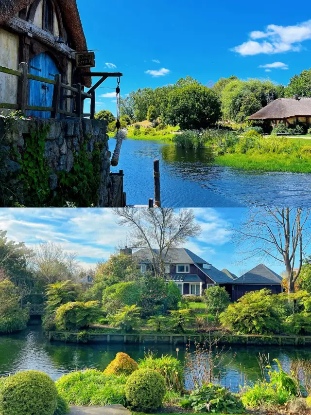 New Zealand on a Budget: How I Saved $20,000 with This Thrifty Travel Guide