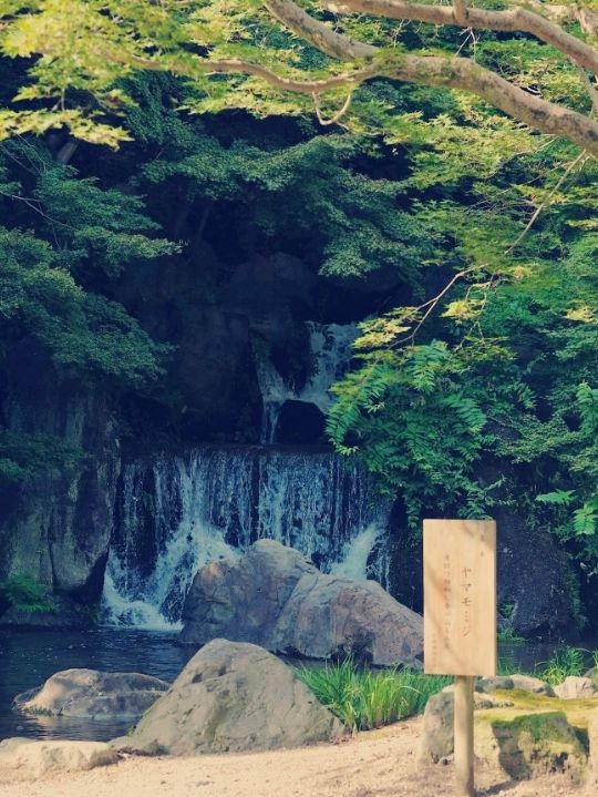 여름 여행 필수 코스, 오사카 만박기념공원에서 즐기는 특별한 추억​