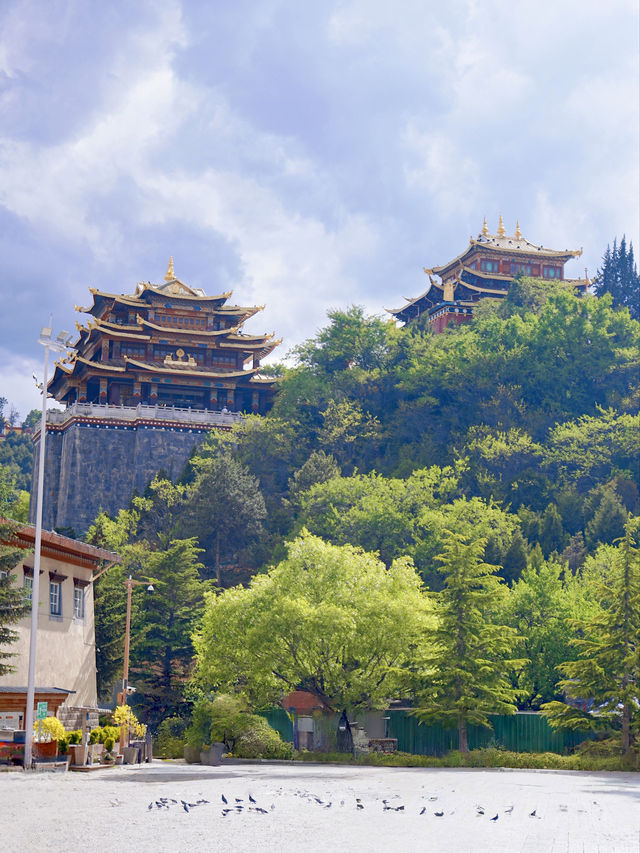 治癒系度假民宿，香格里拉必住嘅木屋！