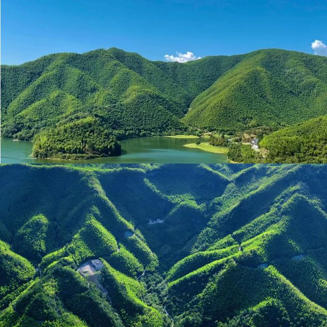 《臥虎藏龍》同款竹海！安吉大竹海，連呼吸都係綠色嘅！