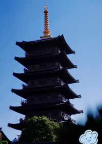 上海五天四晚旅遊攻略（預算：7000元） 一、總體預算分配（約7000元） 項目預算（元）說明 