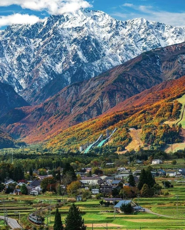 日本白馬村5天紅葉溫泉攻略
