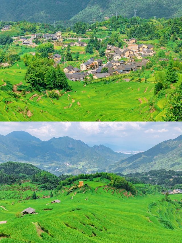 麗水夏日秘境｜蛟龍潭避暑指南