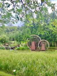 清遠森波拉度假森林現實版綠野仙蹤！