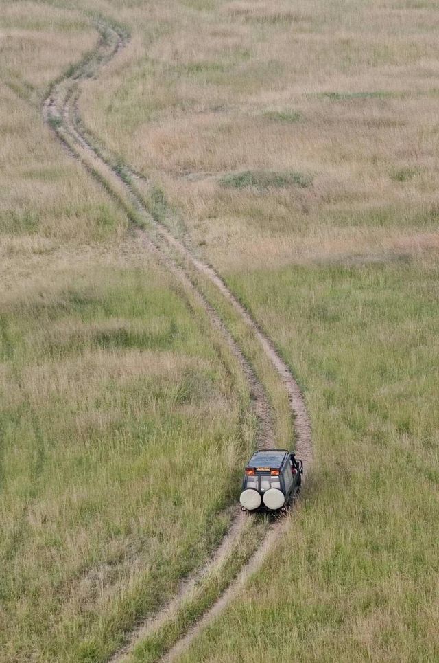 嚟肯尼亞實現我嘅非洲safari願望清單啦！呢度簡直係野生動物嘅天堂，每日擘大眼就見到各種神奇動