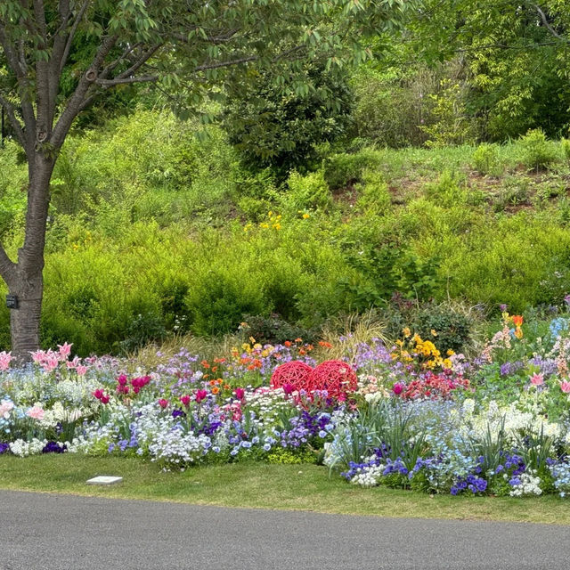 【橫濱里山花園4月尾靚到尖叫！即時實況分享】