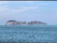 威海海驢島| 被十萬隻海鷗包圍係咩體驗？