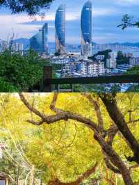 廈門受罪已回，真不建議8月份來了