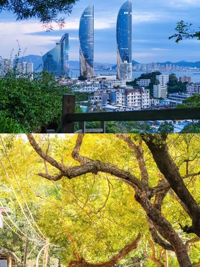 廈門受罪已回，真不建議8月份來了