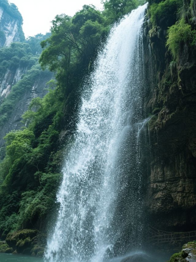 重慶人私藏！周邊5個避暑地均溫20℃，暑假最後衝