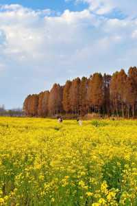 建水3日：把時光泡在晨光、煙火與陶香裡
