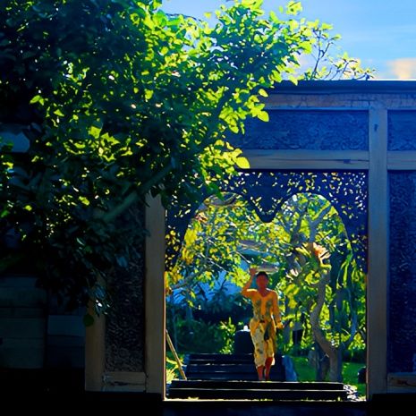 潘達瓦別墅酒店：烏布的靜謐天堂 Pandawa Villas: A Tranquil Retre