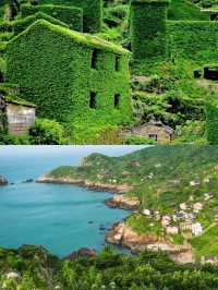 枸杞島讓我體驗到了夢中海島的快樂