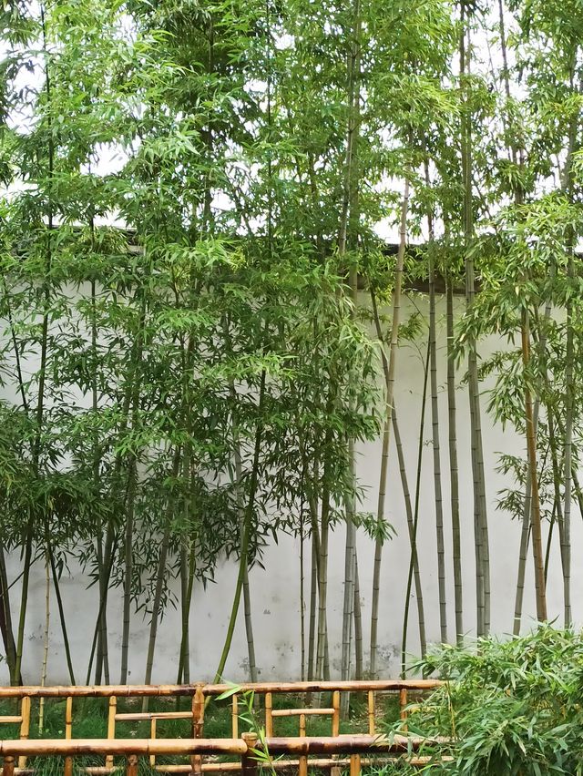 江南