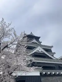 櫻花難民在九州找到了驚喜
