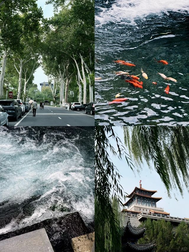 濟南3天2晚深度逛吃攻略