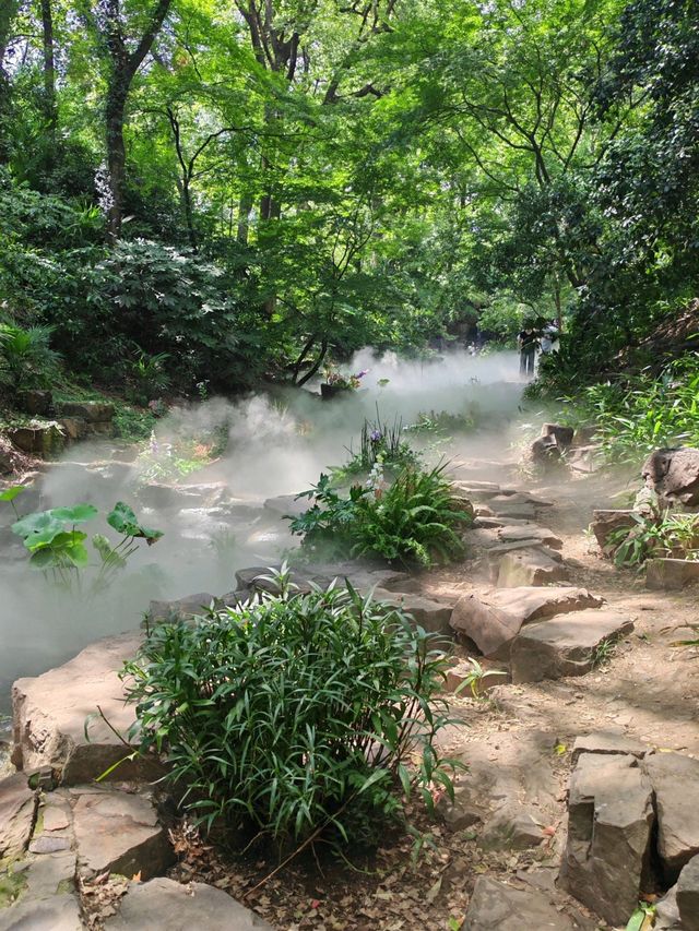 虎丘賞秋實況｜蘇州這座天然調色盤美到窒息！