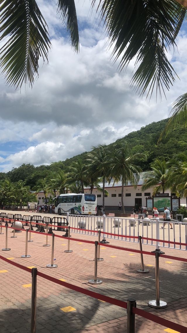 椰林海景拍攝聖地