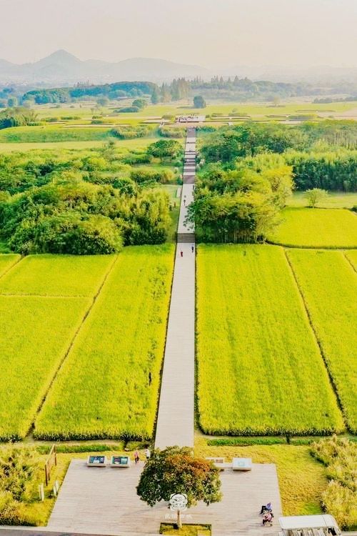五千年前的“魔都”竟藏在杭州？良渚古城帶你穿越史前文明！