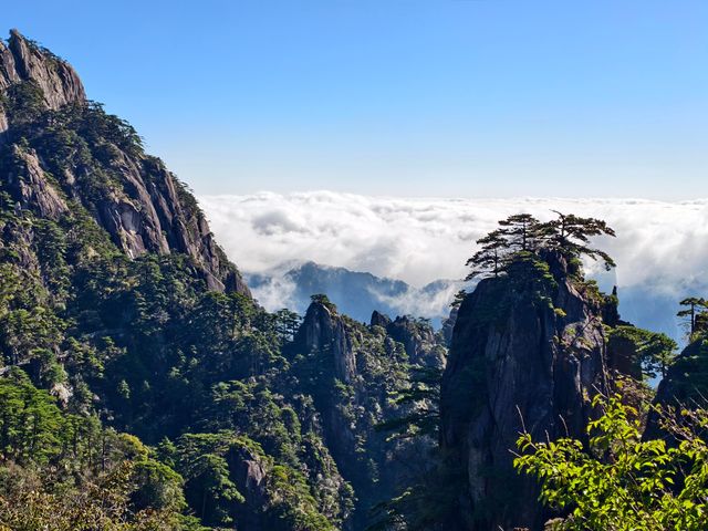 黃山的綺麗,雙腿最有發言權。 黃山的綺麗,雙腿最有發言權。