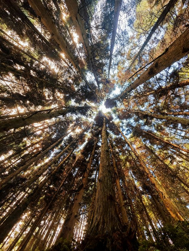 10月秘境!重慶周邊這處徒步天堂,錯過等一年! 10月秘境!重慶周邊這處徒步天堂,錯過等一年!
