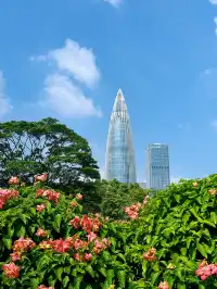 杭州小朋友羨慕到哭了深圳灣騎行yyds！