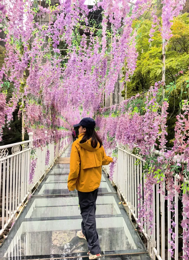 西安周邊|不愧陝南小九寨低估賞秋天花板