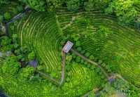 漳平九鵬溪是國家4A級旅遊景區、國家水利風景區,位於福建省龍岩市漳平市南洋鎮。 以下是其詳細