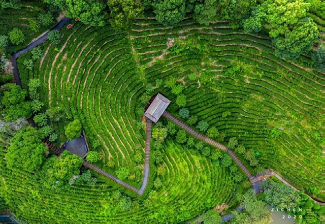 漳平九鵬溪是國家4A級旅遊景區、國家水利風景區,位於福建省龍岩市漳平市南洋鎮。 以下是其詳細 漳平九鵬溪是國家4A級旅遊景區、國家水利風景區,位於福建省龍岩市漳平市南洋鎮。 以下是其詳細
