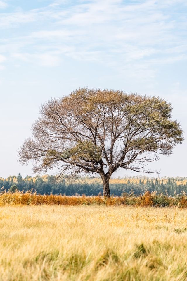 包頭賽汗塔拉城中草原，兩天一夜，旅遊費用攻略
