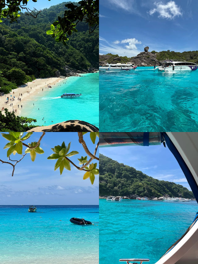 不愧是泰國海島天花板斯米蘭，超值得去！