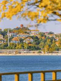 青島秋冬:闖進漫畫裡的治癒幀