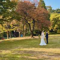  청도의 가을, 이 공원에서 모든 걱정이 사라졌어요 🍂