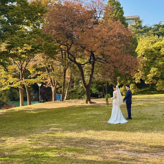  청도의 가을, 이 공원에서 모든 걱정이 사라졌어요 🍂