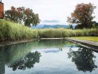 Encounter Green Mountain • Hot Spring ♨️