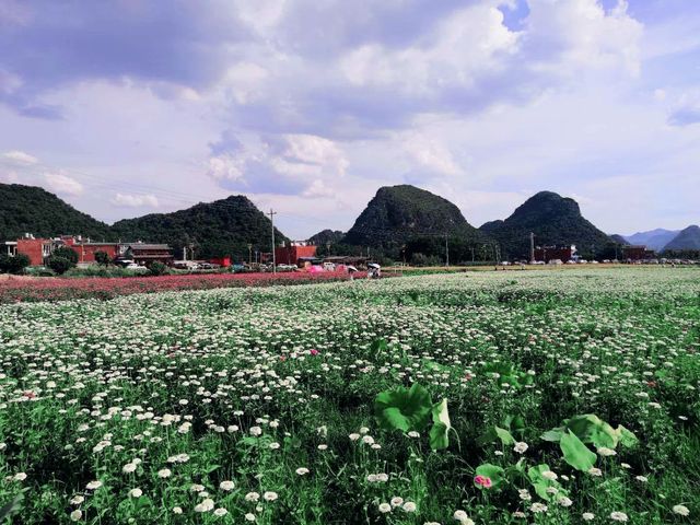 昆明秘境花園打卡點