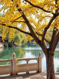 和閨蜜一起出遊!走了