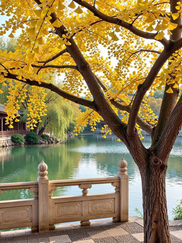 和閨蜜一起出遊!走了 和閨蜜一起出遊!走了