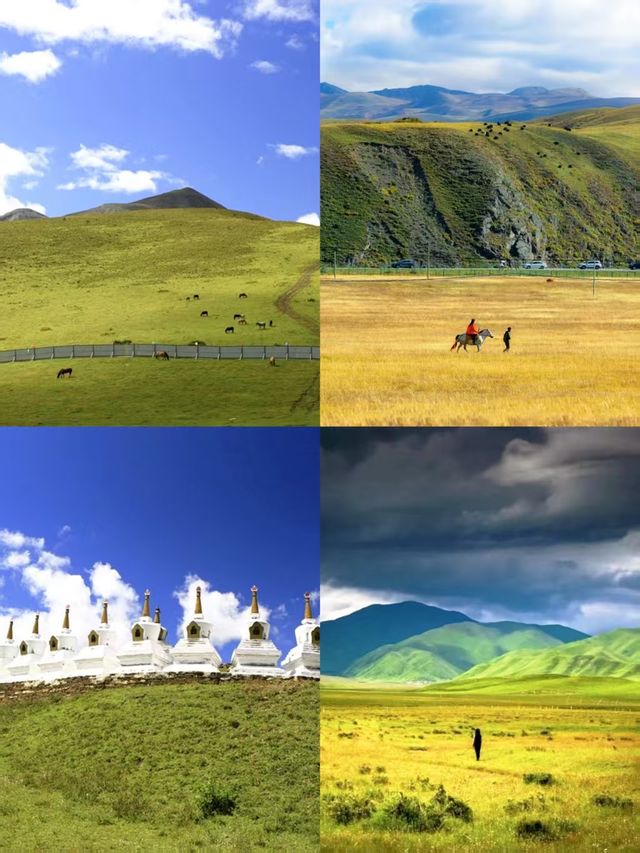 塔公草原藏於川西的「風蕭草低見牛羊」秘境