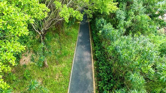 帶你玩轉深圳這座「未來感」與「煙火氣」並存的寶藏城市