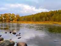 《秋日限定!阿爾山森林公園3天打卡秘笈》