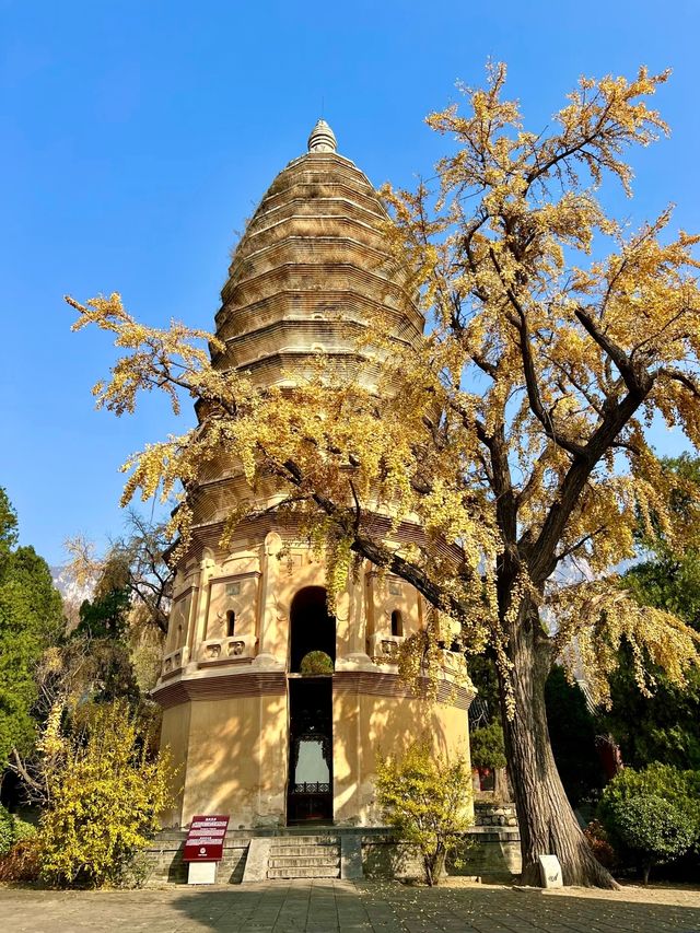 嵩山攻略：功夫迷和懶人的完美相遇 