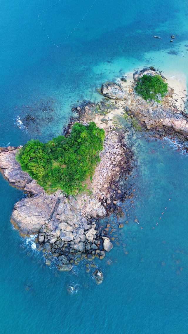 秋冬來大澳灣血賺！