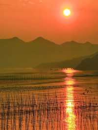 今年我最喜歡的濱海小城,太出乎意料了