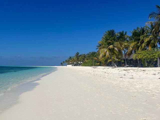 Convenient Shopping Hub on Kuhio Avenue