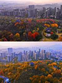 武安出差黨必睇！